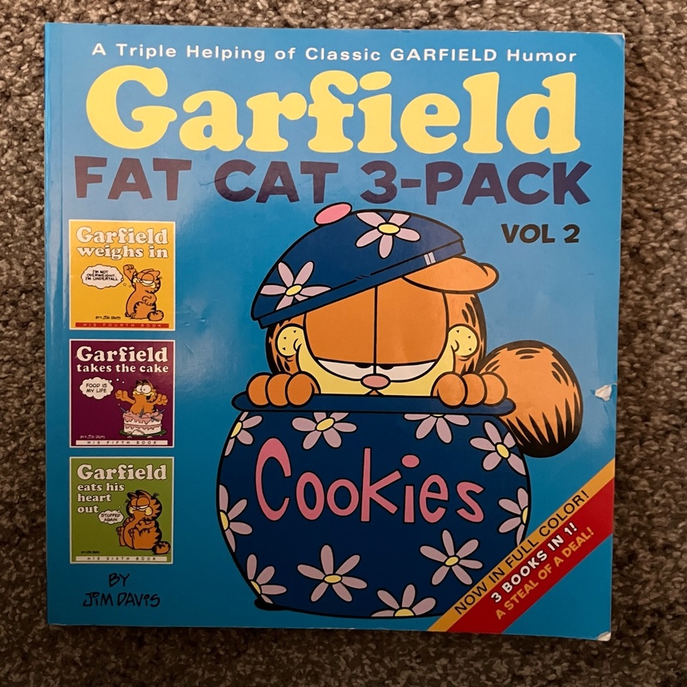 Garfield Fat Cat - 3 books in 1 - softcover book